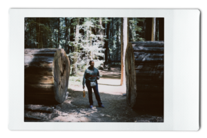 Redwood National Forest: Founder’s Grove